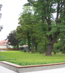 Konzept allgem 4